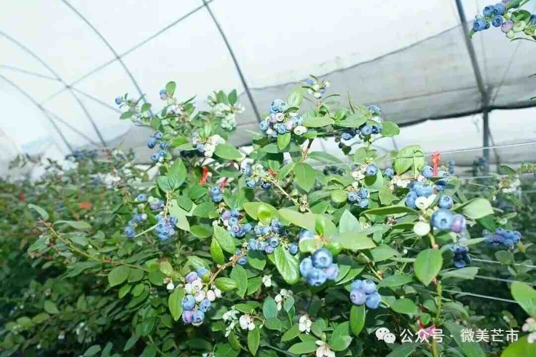 微信图片_2026-08-07_092601_970.jpg